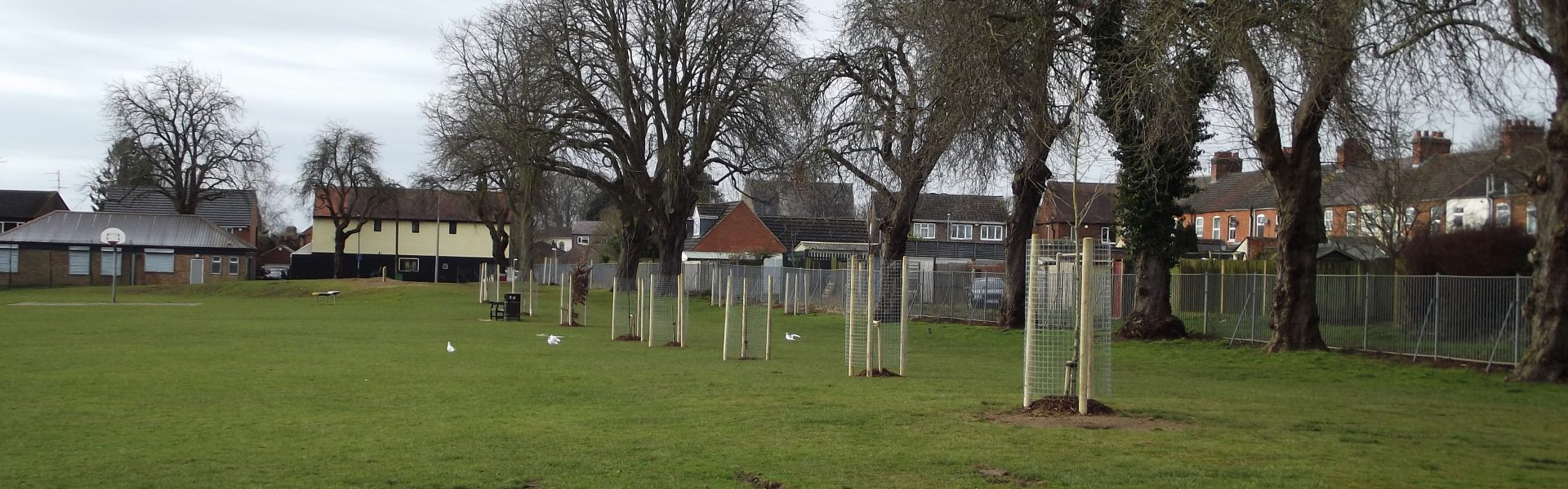 New trees planted in Dunkirk Avenue Recreation ground