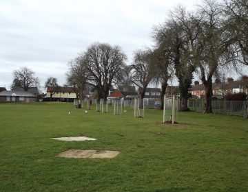 New trees planted in Dunkirk Avenue Recreation ground